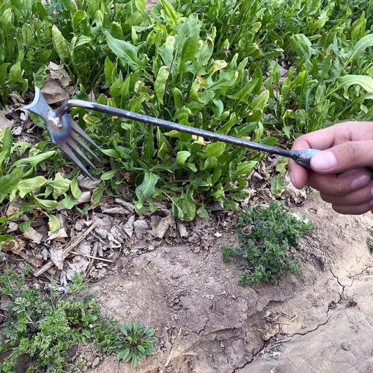 🌺Frühling Vorverkauf 49% Rabatt🌿Gartenarbeit Hand Unkrautstecher