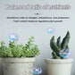 🔥2025 Blumen glücklich machen – ganz ohne Aufwand!Bio-Dünger Tabletten | Langzeitwirkung für üppige Pflanzen | 50% Rabatt 🌱