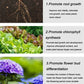 🔥2025 Blumen glücklich machen – ganz ohne Aufwand!Bio-Dünger Tabletten | Langzeitwirkung für üppige Pflanzen | 50% Rabatt 🌱