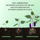 🔥2025 Blumen glücklich machen – ganz ohne Aufwand!Bio-Dünger Tabletten | Langzeitwirkung für üppige Pflanzen | 50% Rabatt 🌱