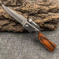 Outdoor-Edelstahl-Feder-Klappmesser🗡️