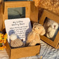 🎁Feiere Weihnachten mit 47 % Rabatt⏳Handgemachter Mini-Plüsch-Teddybär in Box🧸
