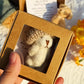 🎁Feiere Weihnachten mit 47 % Rabatt⏳Handgemachter Mini-Plüsch-Teddybär in Box🧸