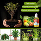 PLANT NUTRIENT SOLUTION🌴(BUY 2 GET 1 FREE）